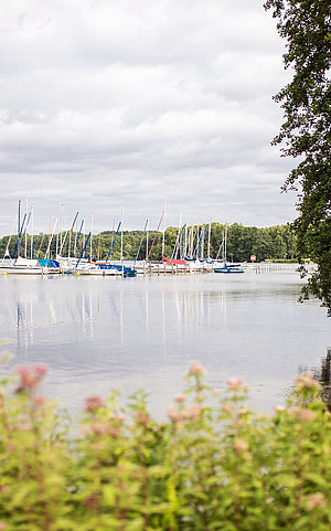 Segelhafen, See, Dersau