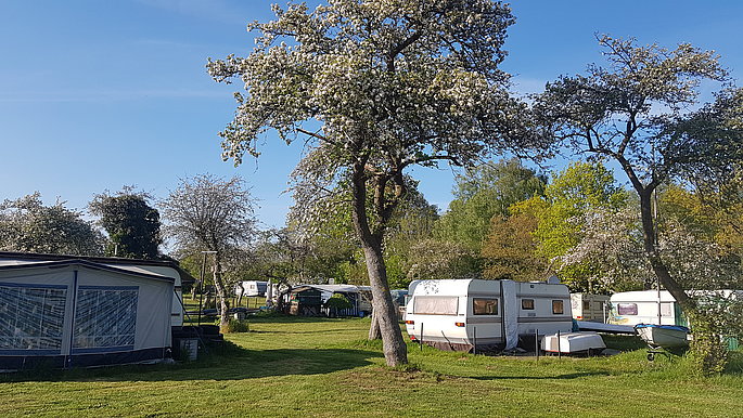 Eine grüne Wiese mit Bäumen, auf der Wohnmobile stehen. 